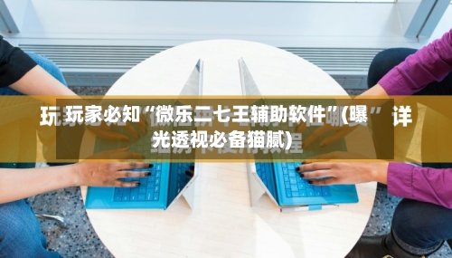 玩家必知“微乐二七王辅助软件	”(曝光透视必备猫腻)-第2张图片