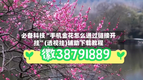必备科技“手机金花怎么通过链接开挂”(透视挂)辅助下载教程-第2张图片