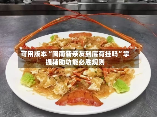 可用版本“闽南新亲友到底有挂吗”掌握辅助功能必胜规则-第3张图片