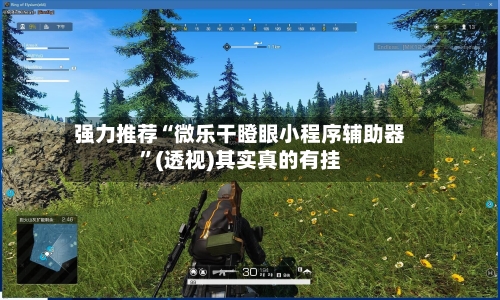 强力推荐“微乐干瞪眼小程序辅助器”(透视)其实真的有挂-第2张图片