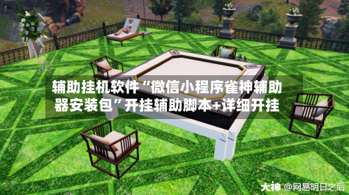 辅助挂机软件“微信小程序雀神辅助器安装包”开挂辅助脚本+详细开挂-第2张图片