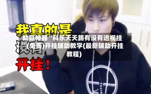 助赢神器“科乐天天踢有没有透视挂”(免费)开挂辅助教学(最新辅助开挂教程)-第2张图片