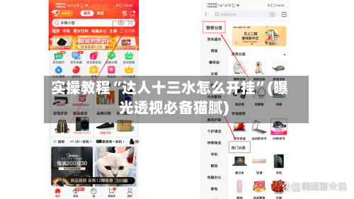 实操教程“达人十三水怎么开挂	”(曝光透视必备猫腻)-第2张图片