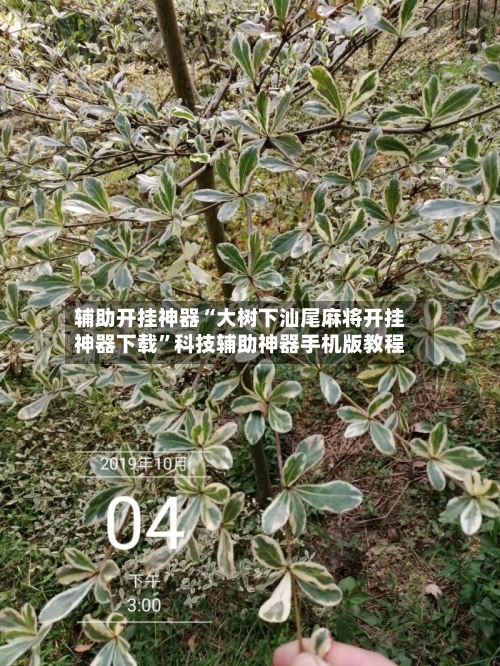 辅助开挂神器“大树下汕尾麻将开挂神器下载”科技辅助神器手机版教程-第2张图片
