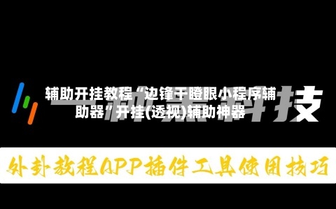 辅助开挂教程“边锋干瞪眼小程序辅助器	”开挂(透视)辅助神器-第2张图片