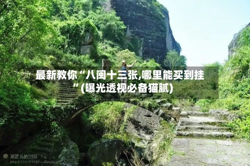 最新教你“八闽十三张,哪里能买到挂	”(曝光透视必备猫腻)-第2张图片