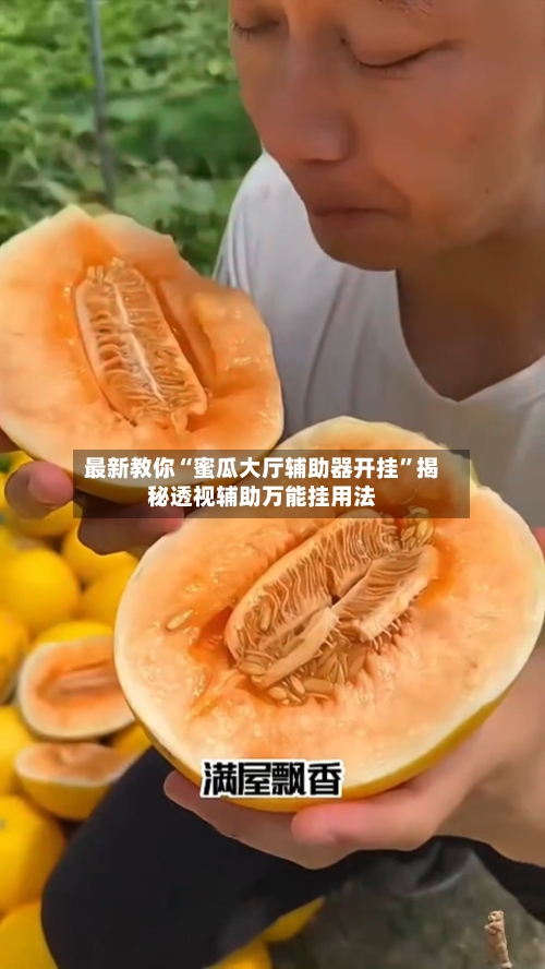 最新教你“蜜瓜大厅辅助器开挂”揭秘透视辅助万能挂用法-第2张图片