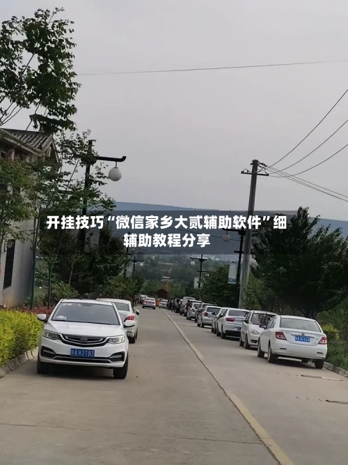开挂技巧“微信家乡大贰辅助软件”细辅助教程分享-第3张图片