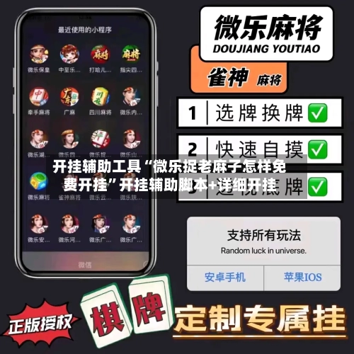开挂辅助工具“微乐捉老麻子怎样免费开挂”开挂辅助脚本+详细开挂