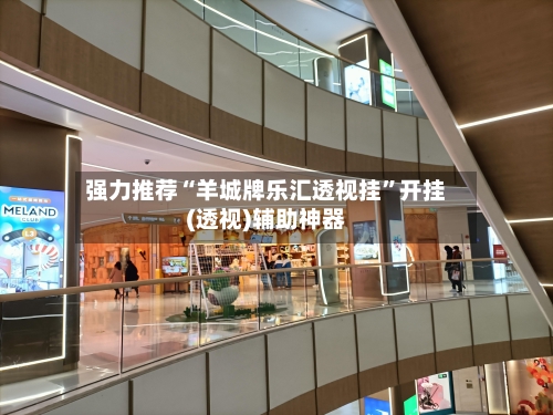 强力推荐“羊城牌乐汇透视挂”开挂(透视)辅助神器-第3张图片