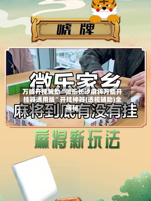 万能开挂辅助“微乐长沙麻将万能开挂器通用版”开挂神器{透视辅助}全揭秘-第3张图片