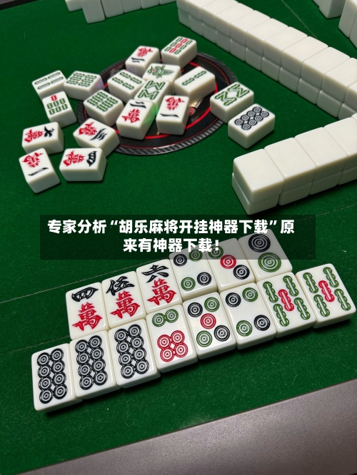 专家分析“胡乐麻将开挂神器下载	”原来有神器下载！-第2张图片