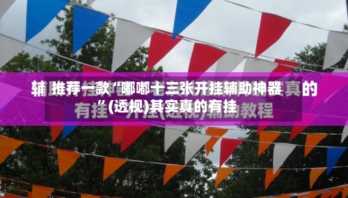 推荐一款“嘟嘟十三张开挂辅助神器”(透视)其实真的有挂-第2张图片