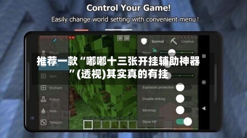 推荐一款“嘟嘟十三张开挂辅助神器”(透视)其实真的有挂