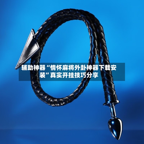 辅助神器“情怀麻将外卦神器下载安装”真实开挂技巧分享-第2张图片