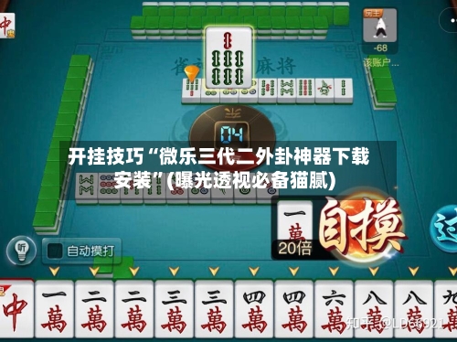 开挂技巧“微乐三代二外卦神器下载安装”(曝光透视必备猫腻)-第2张图片