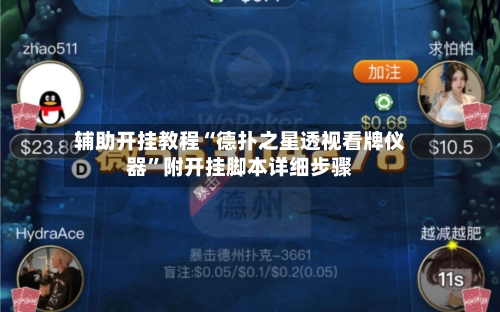 辅助开挂教程“德扑之星透视看牌仪器”附开挂脚本详细步骤-第3张图片