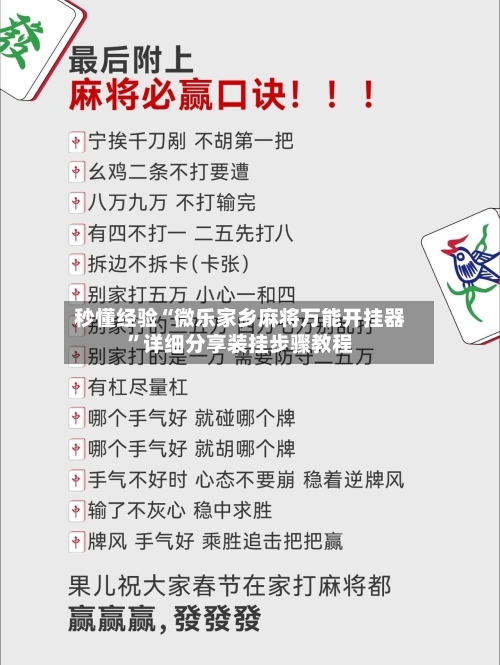 秒懂经验“微乐家乡麻将万能开挂器”详细分享装挂步骤教程-第3张图片