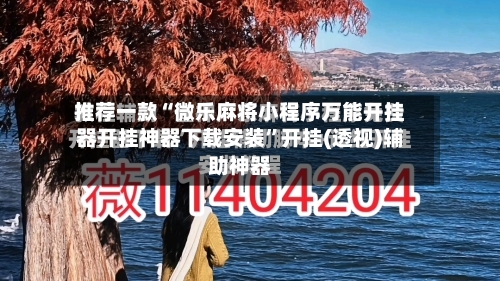 推荐一款“微乐麻将小程序万能开挂器开挂神器下载安装	”开挂(透视)辅助神器-第2张图片