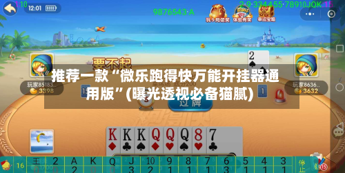 推荐一款“微乐跑得快万能开挂器通用版”(曝光透视必备猫腻)-第3张图片