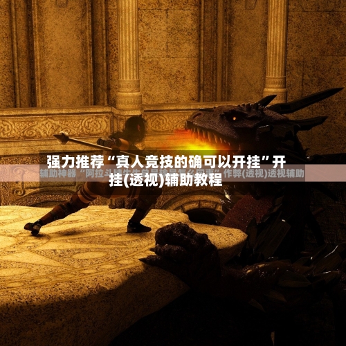 强力推荐“真人竞技的确可以开挂	”开挂(透视)辅助教程-第2张图片
