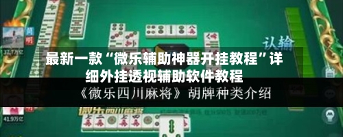 最新一款“微乐辅助神器开挂教程	”详细外挂透视辅助软件教程-第2张图片