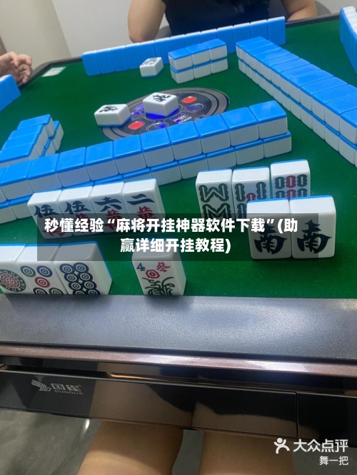秒懂经验“麻将开挂神器软件下载”(助赢详细开挂教程)-第3张图片