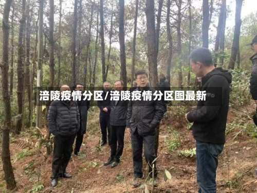 涪陵疫情分区/涪陵疫情分区图最新-第3张图片