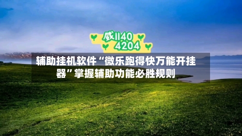 辅助挂机软件“微乐跑得快万能开挂器	”掌握辅助功能必胜规则-第2张图片