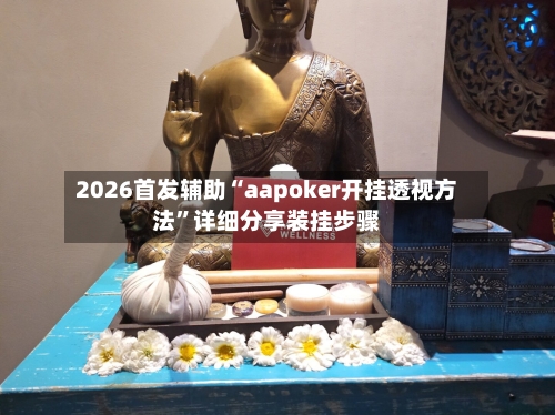 2026首发辅助“aapoker开挂透视方法	”详细分享装挂步骤-第2张图片