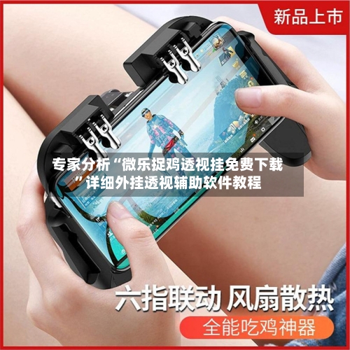专家分析“微乐捉鸡透视挂免费下载”详细外挂透视辅助软件教程-第3张图片