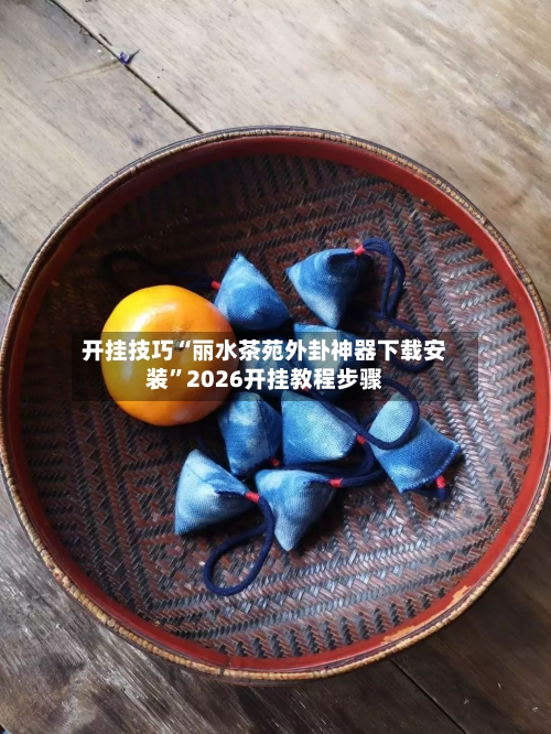 开挂技巧“丽水茶苑外卦神器下载安装”2026开挂教程步骤-第3张图片
