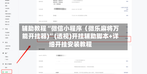 辅助教程“微信小程序（微乐麻将万能开挂器)”(透视)开挂辅助脚本+详细开挂安装教程-第2张图片