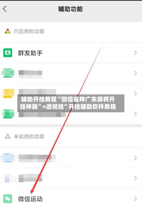 辅助开挂教程“微信雀神广东麻将开挂神器”+透视挂”开挂辅助软件教程-第2张图片