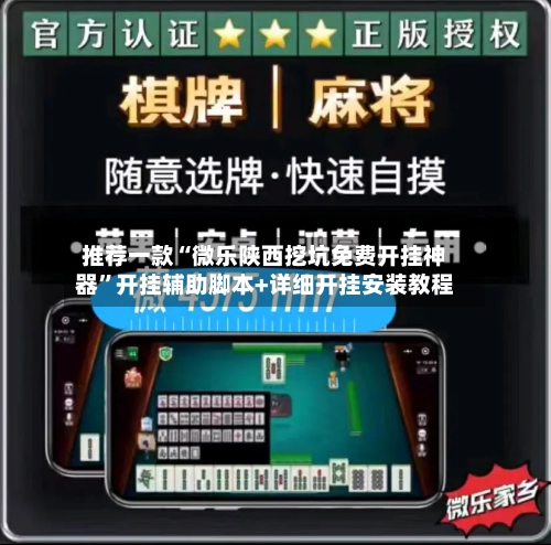 推荐一款“微乐陕西挖坑免费开挂神器”开挂辅助脚本+详细开挂安装教程-第2张图片