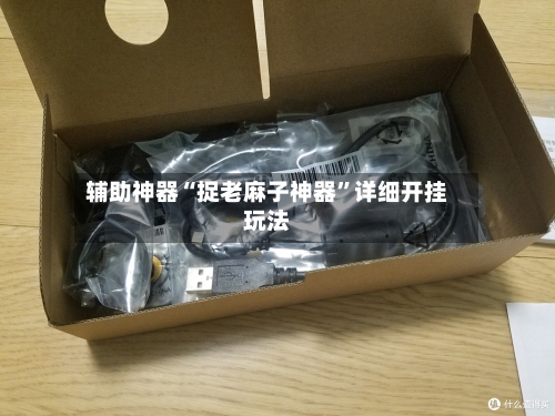 辅助神器“捉老麻子神器”详细开挂玩法-第2张图片