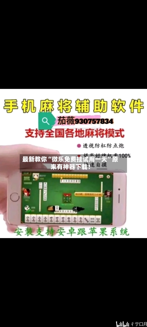 最新教你“微乐免费挂试用一天”原来有神器下载！-第2张图片