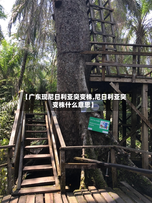 【广东现尼日利亚突变株,尼日利亚突变株什么意思】