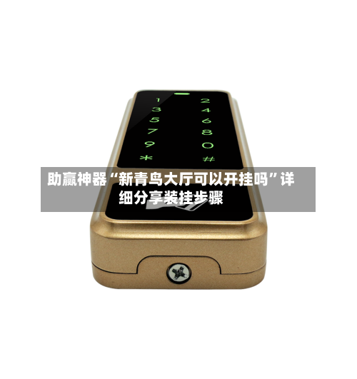 助赢神器“新青鸟大厅可以开挂吗”详细分享装挂步骤-第3张图片