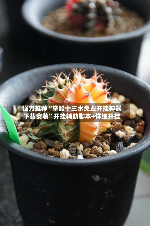 强力推荐“掌酷十三水免费开挂神器下载安装”开挂辅助脚本+详细开挂-第2张图片