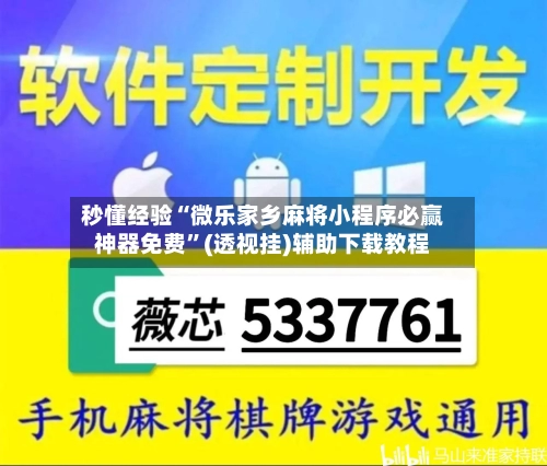秒懂经验“微乐家乡麻将小程序必赢神器免费	”(透视挂)辅助下载教程-第2张图片