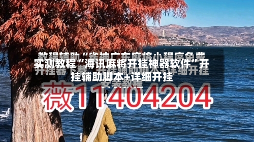 实测教程“海讯麻将开挂神器软件”开挂辅助脚本+详细开挂-第3张图片