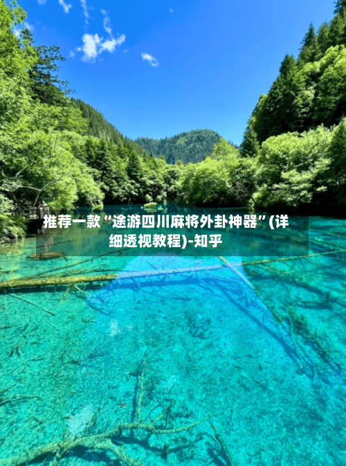 推荐一款“途游四川麻将外卦神器”(详细透视教程)-知乎-第2张图片
