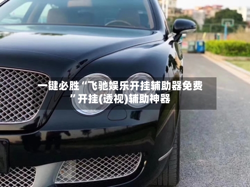 一键必胜“飞驰娱乐开挂辅助器免费”开挂(透视)辅助神器-第2张图片