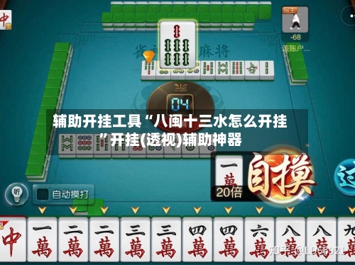 辅助开挂工具“八闽十三水怎么开挂”开挂(透视)辅助神器