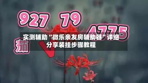 实测辅助“微乐亲友房辅助器”详细分享装挂步骤教程-第2张图片