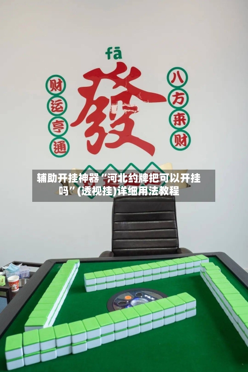 辅助开挂神器“河北约牌把可以开挂吗	”(透视挂)详细用法教程-第2张图片