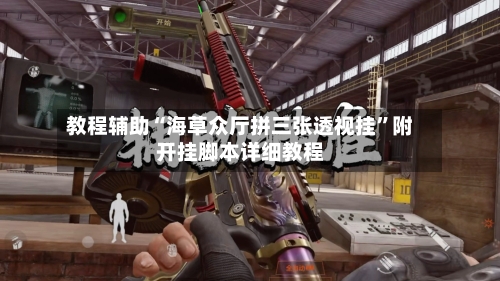教程辅助“海草众厅拼三张透视挂”附开挂脚本详细教程-第2张图片
