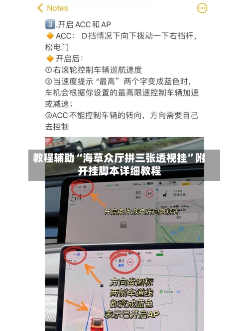 教程辅助“海草众厅拼三张透视挂”附开挂脚本详细教程