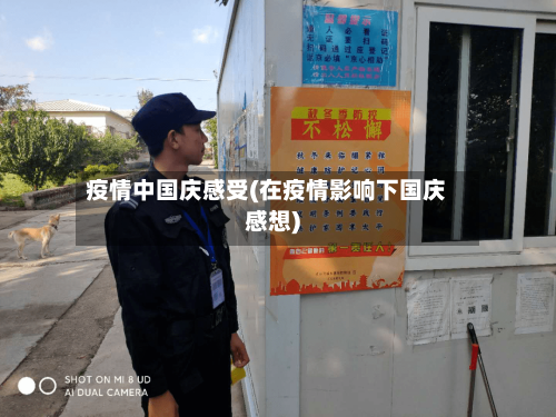 疫情中国庆感受(在疫情影响下国庆感想)-第2张图片